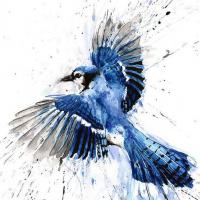 Avatar Kaet